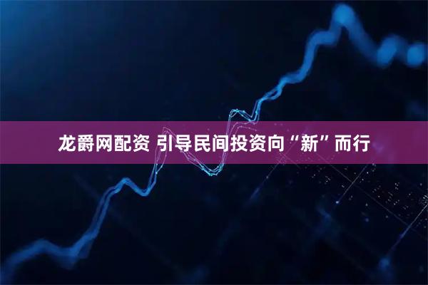 龙爵网配资 引导民间投资向“新”而行