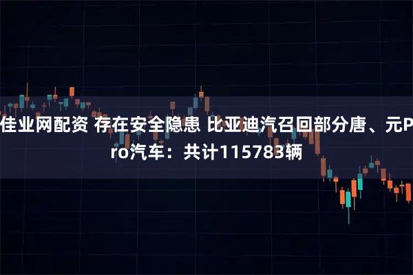 佳业网配资 存在安全隐患 比亚迪汽召回部分唐、元Pro汽车：共计115783辆