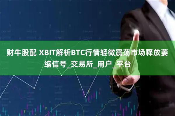 财牛股配 XBIT解析BTC行情轻微震荡市场释放萎缩信号_交易所_用户_平台