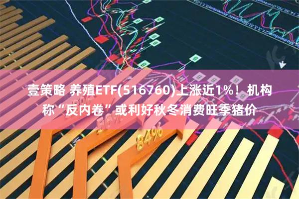 壹策略 养殖ETF(516760)上涨近1%！机构称“反内卷”或利好秋冬消费旺季猪价