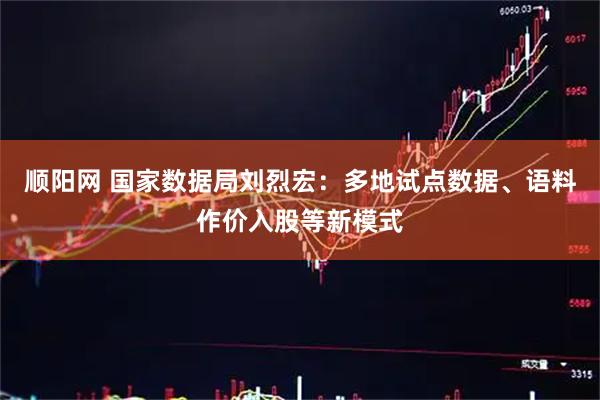 顺阳网 国家数据局刘烈宏：多地试点数据、语料作价入股等新模式